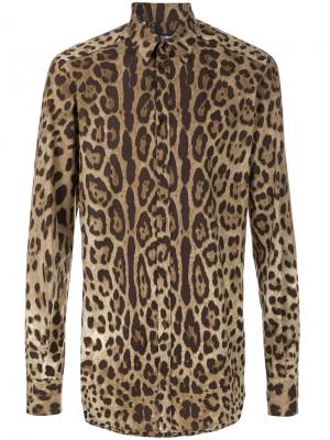 Рубашка с леопардовым принтом Dolce & Gabbana. Цвет: коричневый