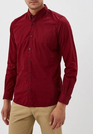 Рубашка Tom Tailor. Цвет: бордовый