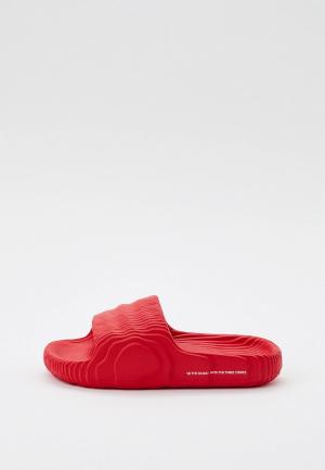 Сланцы adidas Originals. Цвет: красный