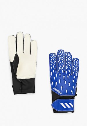 Перчатки вратарские adidas. Цвет: синий