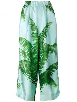 Пижамные брюки с принтом листьев пальмы F.R.S For Restless Sleepers. Цвет: синий