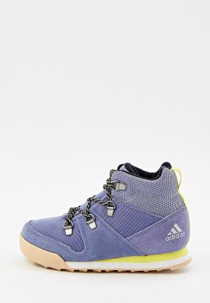 Ботинки трекинговые adidas. Цвет: голубой
