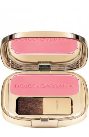 Румяна, оттенок 40 Provocative Dolce & Gabbana. Цвет: бесцветный